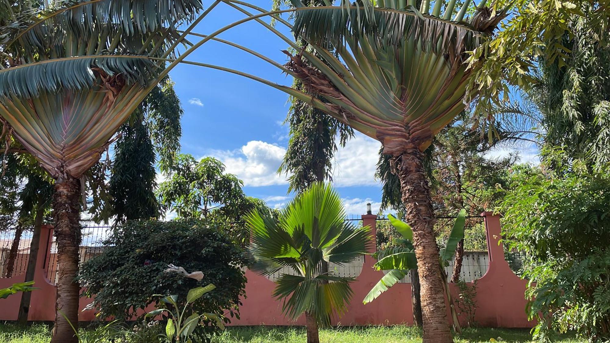 Bungalow X Garten & Terrasse X Wlan X Europaeisch Moshi Kültér fotó